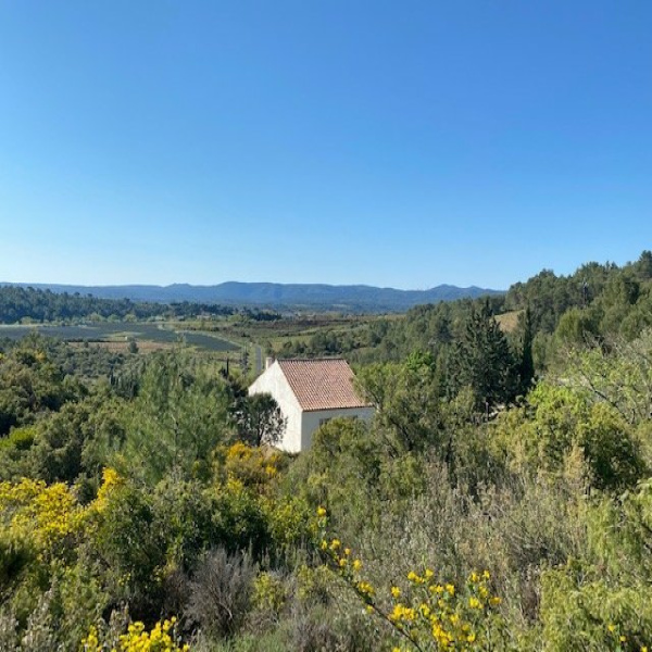 Offres de vente Maison Lagrasse 11220